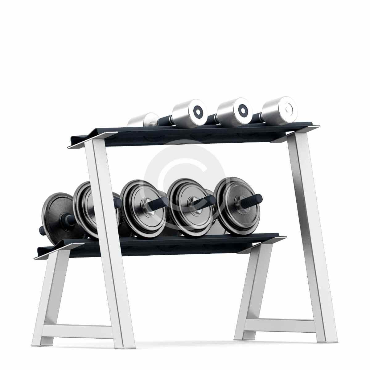 Dina Racks Dumbbell rack – Dinamic Power